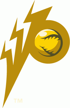 West Virginia Power 2005-2008 Cap Logo iron on heat transfer
